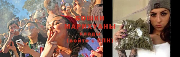 индика Верея