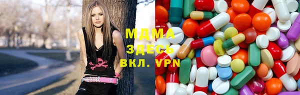 индика Верея