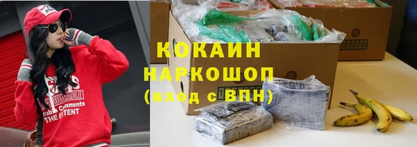 индика Верея