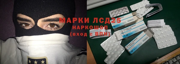 индика Верея