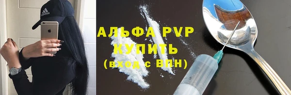 индика Верея