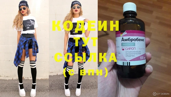 индика Верея