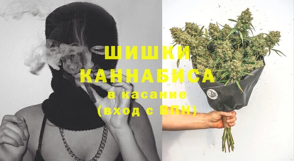 индика Верея