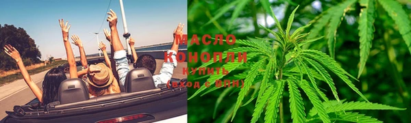 крисы Тутаев