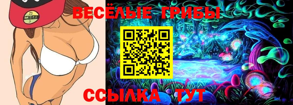Галлюциногенные грибы Psilocybine cubensis Мончегорск