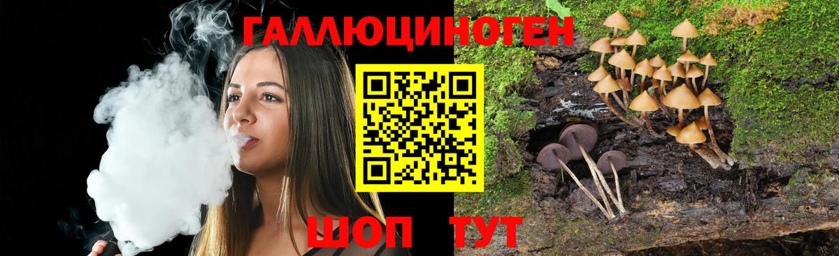 Псилоцибиновые грибы мицелий  Псилоцибиновые грибы Psilocybine cubensis  Мончегорск  Вход с VPN 